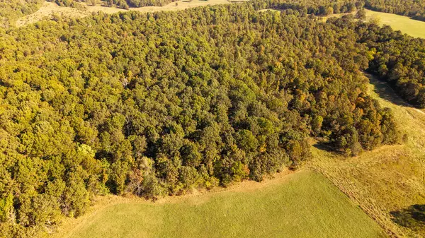 Koshkonong, MO 65692,Tbd Private Road 9951