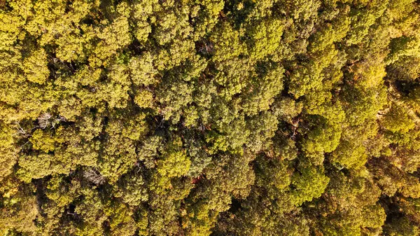 Koshkonong, MO 65692,Tbd Private Road 9951