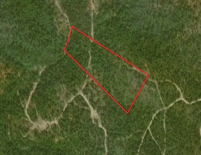 Birch Tree, MO 65438,15682 Winding Trail