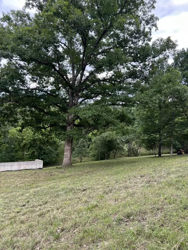 Forsyth, MO 65653,000 Vin Villa