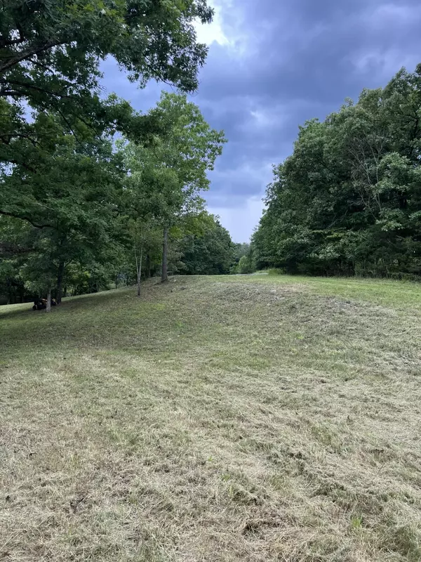 Forsyth, MO 65653,000 Vin Villa