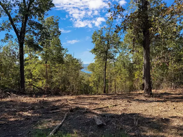 Galena, MO 65656,Tract 1 Everest RD