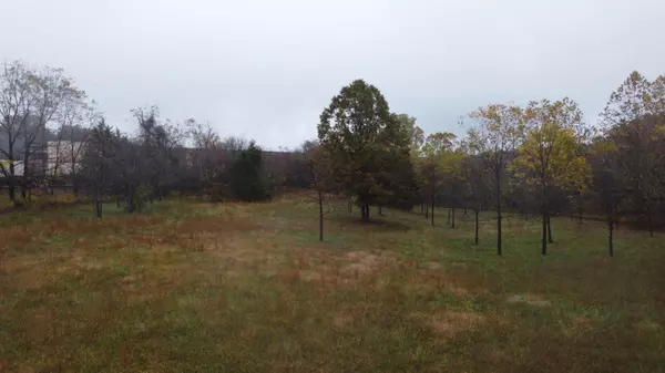 Mountain Grove, MO 65711,000 Nevill RD