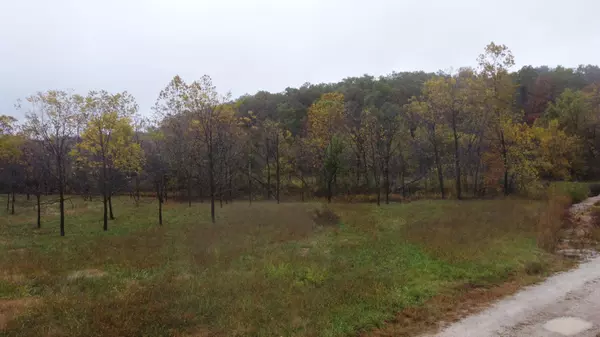 Mountain Grove, MO 65711,000 Nevill RD