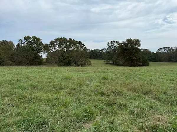 West Plains, MO 65775,Tbd U.S. Highway 160