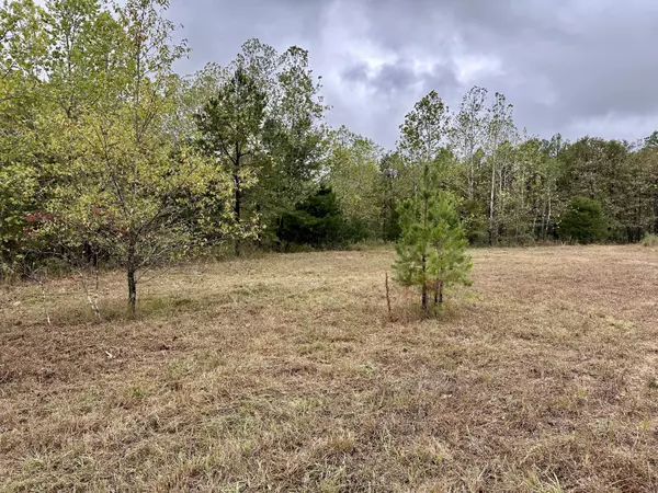 Van Buren, MO 63965,000 Couinty Road 570