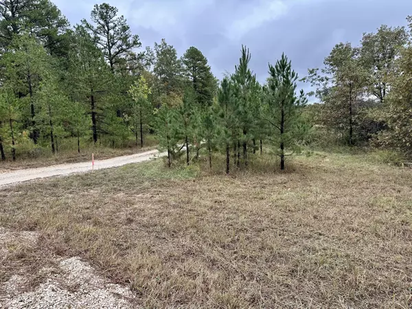 Van Buren, MO 63965,000 Couinty Road 570