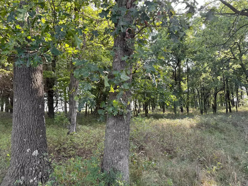 000 State Hwy F, Stotts City, MO 65756