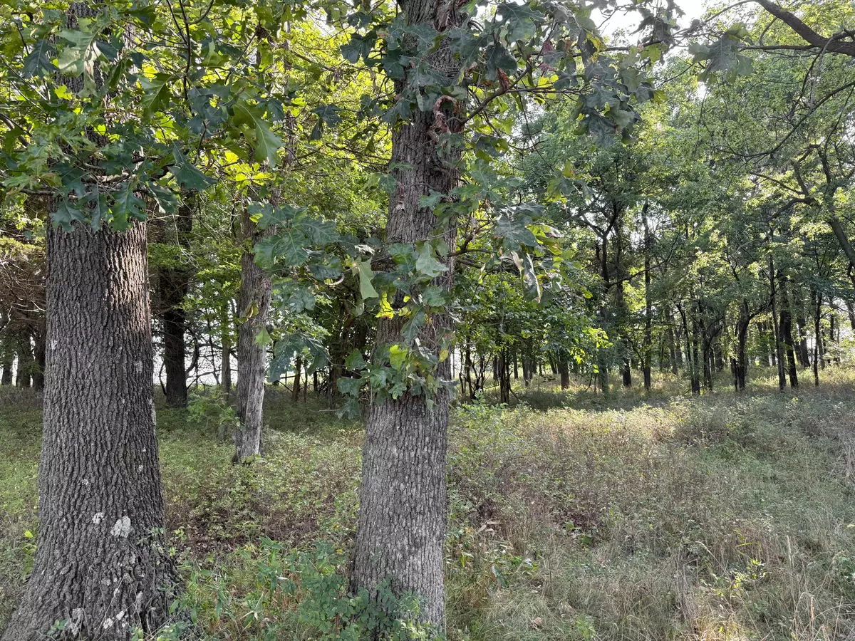 Stotts City, MO 65756,000 State Hwy F