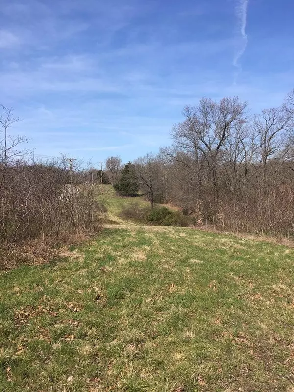 Hollister, MO 65672,875 Windmill RD