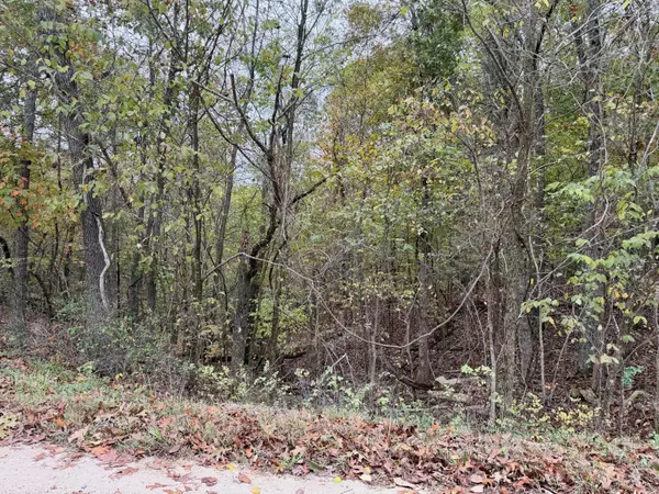 Fordland, MO 65652,000 Spout Spring RD