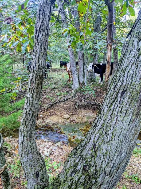 Urbana, MO 65767,505 D Hwy