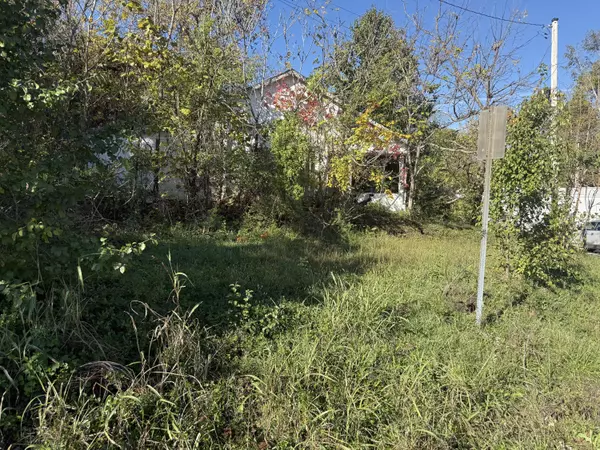 Thayer, MO 65791,Tbd Gracey Avenue