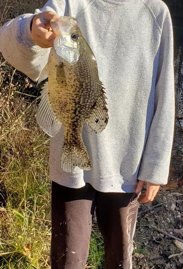 Humansville, MO 65674,167 E 334th Road