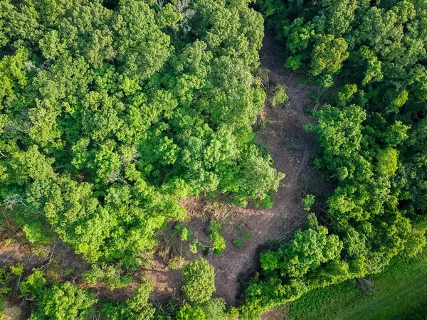 Seneca, MO 64865,000 Condor DR #Tract 2n