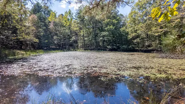 Houston, MO 65483,Tbd Forrest Drive