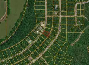 Horseshoe Bend, AR 72512,1324 Riverview DR