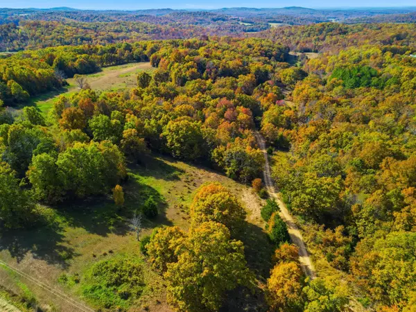 Dora, MO 65637,6201 State Highway W