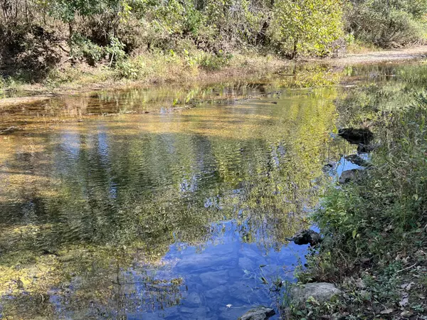 Urbana, MO 65767,Lot 13 Meyongo TRL