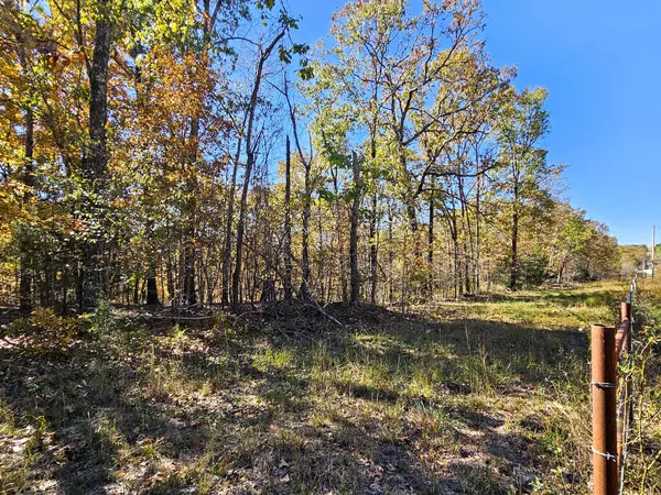 Mountain View, MO 65548,000 State Route Nn