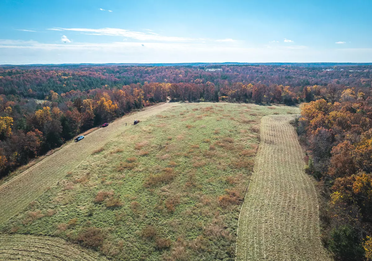 Licking, MO 65542,000 Deason DR