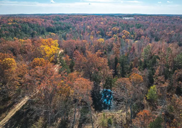 Licking, MO 65542,000 Deason DR