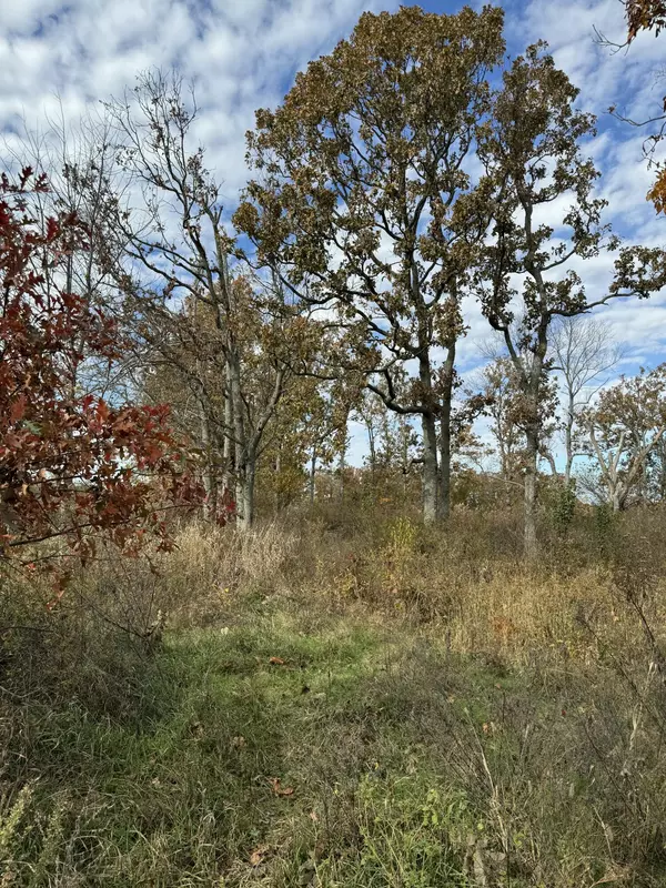 Rogersville, MO 65742,000 State Highway Vv Tract 5d