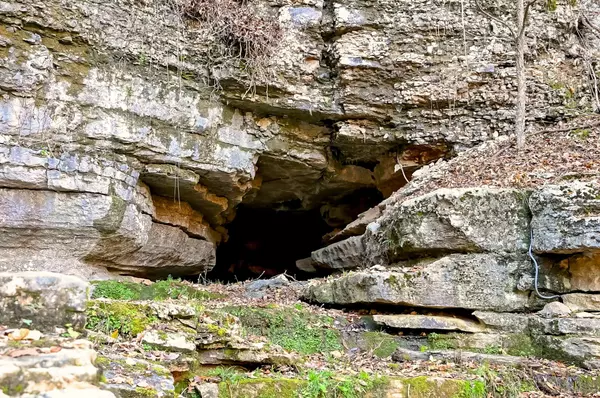 Crane, MO 65633,3378 Warner RD