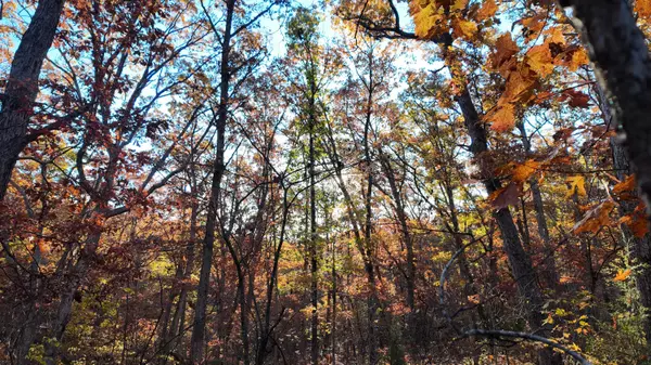 Lowry City, MO 64763,6630 NE 969 Private RD