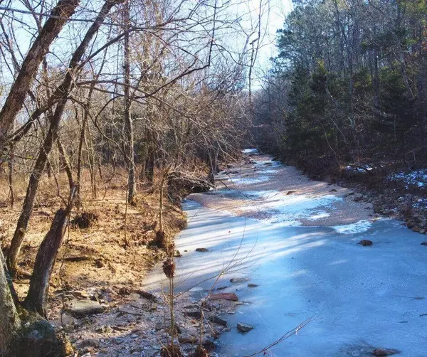 Vanzant, MO 65768,000 County Rd 247