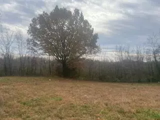 601 E 3rd ST, Mountain View, MO 65548