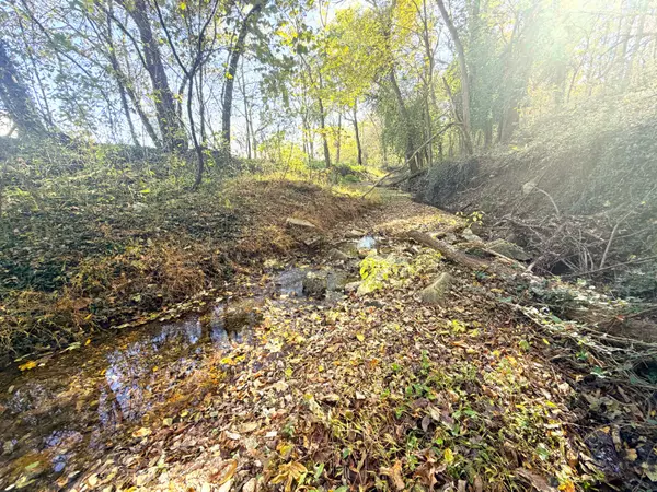 Pineville, MO 64856,813 Bailey RD