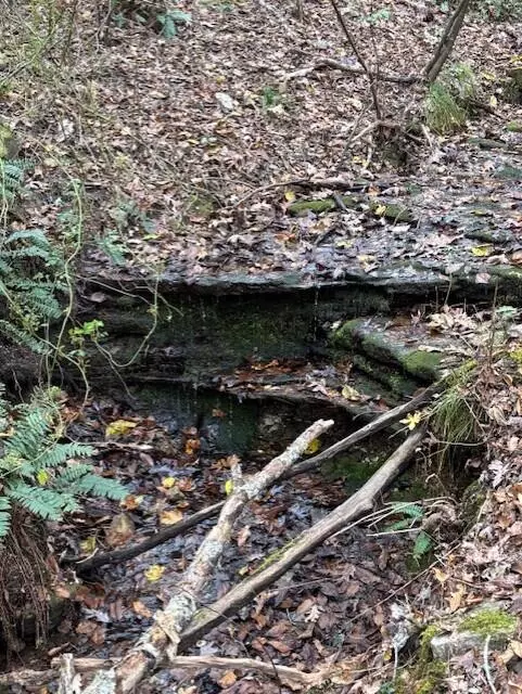 Vanzant, MO 65768,Tbd County Road Ah 272