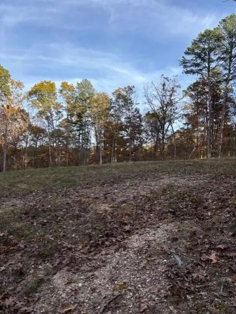 Vanzant, MO 65768,Tbd County Road Ah 272