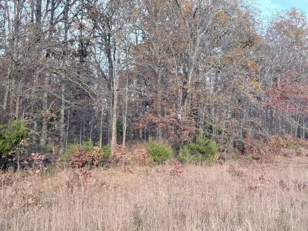 West Plains, MO 65775,000 County Road 9100