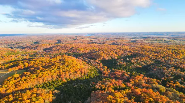 Wheatland, MO 65779,0000 County Road 64