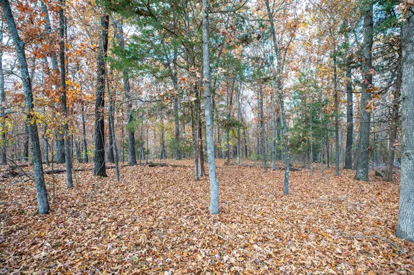 Blue Eye, MO 65611,Tbd Whispering Hill DR