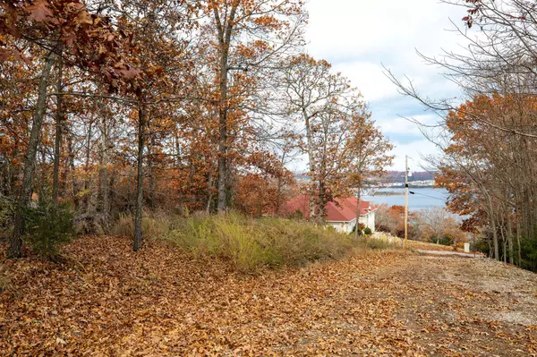 Blue Eye, MO 65611,Tbd Whispering Hill DR