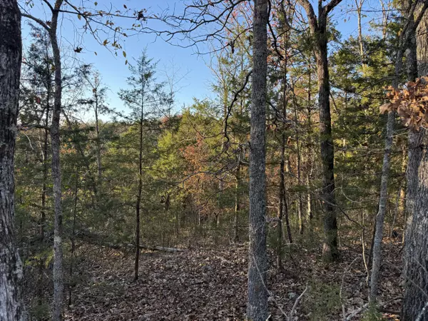 Thornfield, MO 65762,000 County Road 871