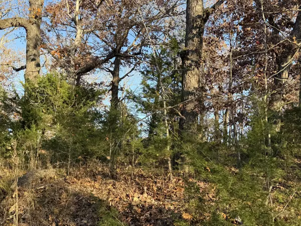 Thornfield, MO 65762,000 County Road 871