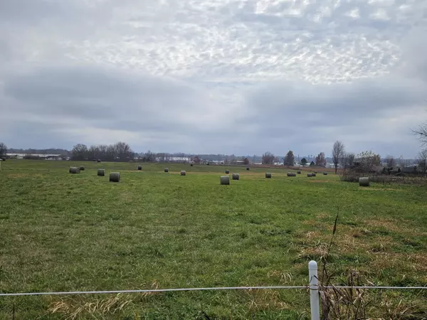 000 Red Springs RD, Mountain Grove, MO 65711