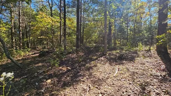 000 Rolling Hills Block 11 Lot 22, Theodosia, MO 65761