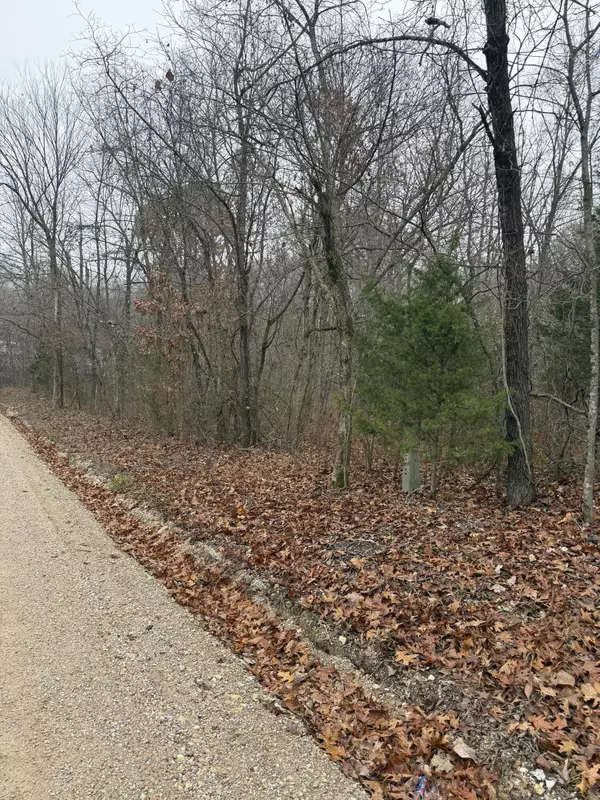 000 Pecan Drive, Grovespring, MO 65662