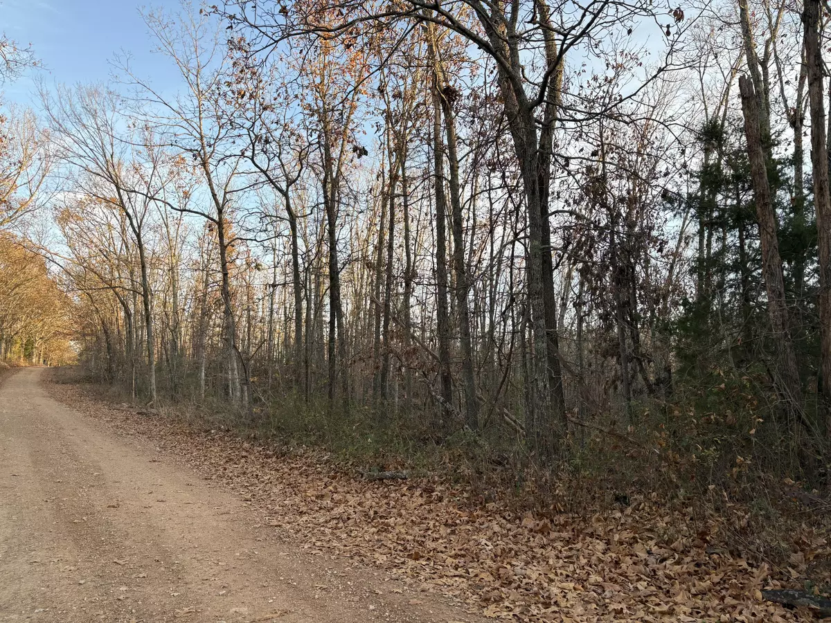 Norwood, MO 65717,Tbd Hylton DR