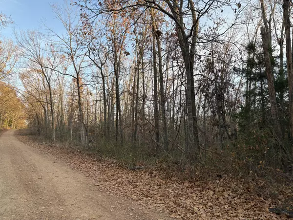 Tbd Hylton DR, Norwood, MO 65717