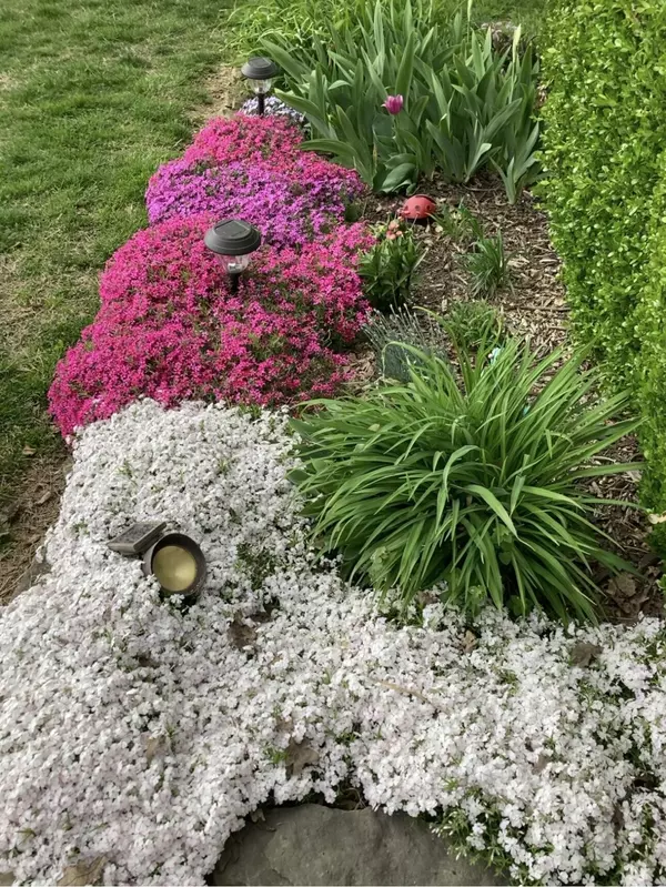 Aurora, MO 65605,1705 Tyler AVE