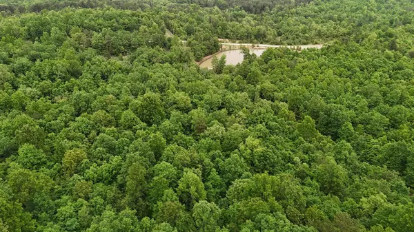 Cabool, MO 65689,Tract 19 Pine Ridge East