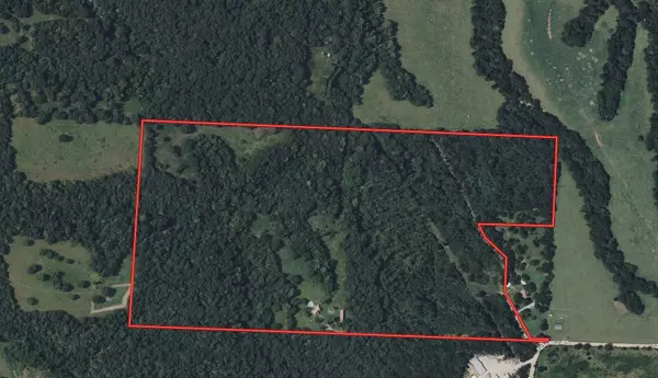 Noel, MO 64854,171 Togi Hill RD