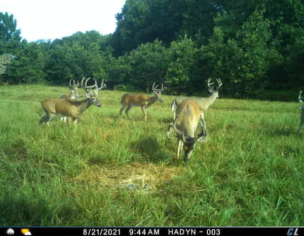 Jay, OK 74346,36293 S 565 RD