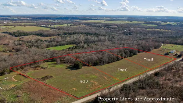 Buffalo, MO 65622,Tract D Potters